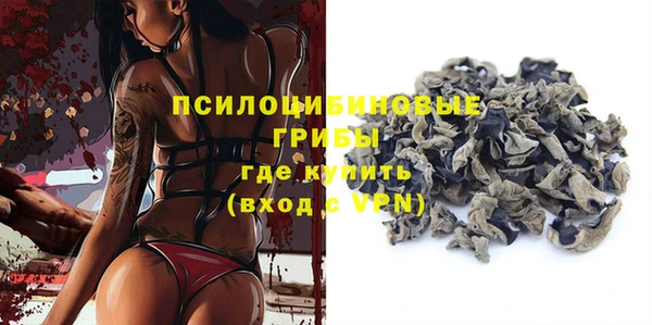 ешки Алзамай