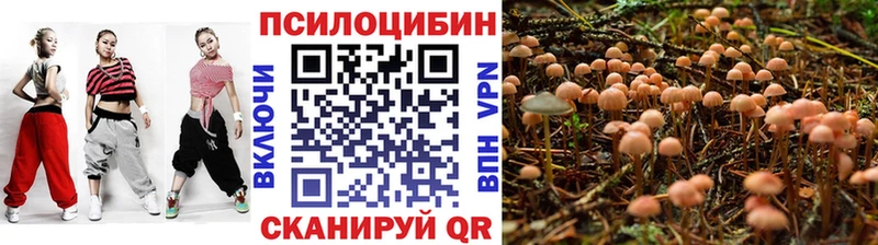 где купить наркотик  Курганинск  Галлюциногенные грибы мухоморы 