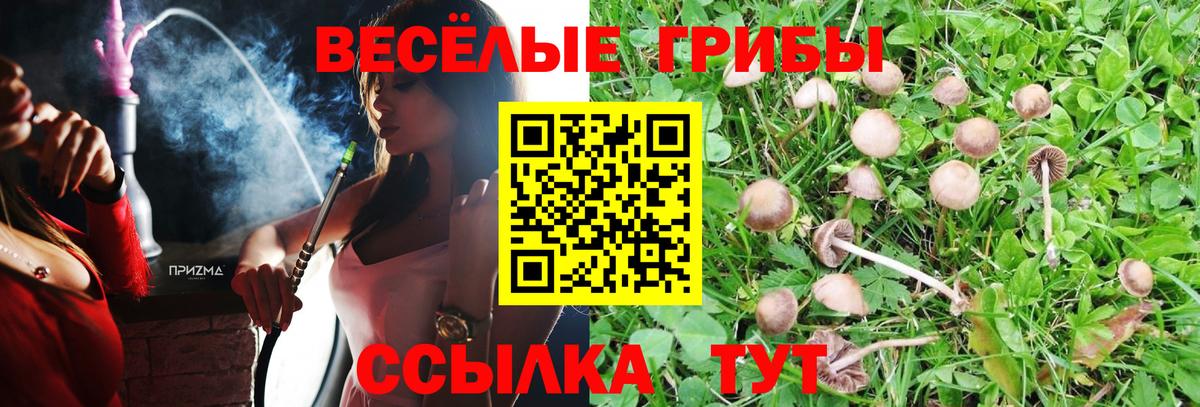 Псилоцибиновые грибы ЛСД  Вход с VPN  Курганинск 