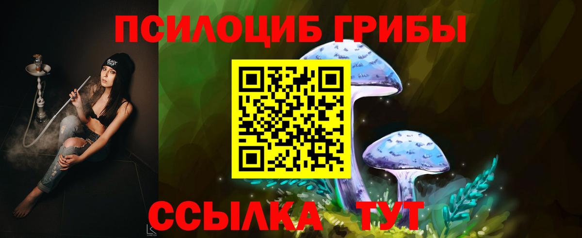 Псилоцибиновые грибы мухоморы Курганинск